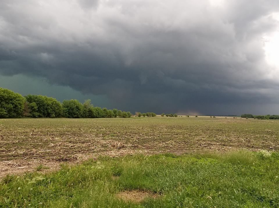 East of Dougherty - Tami Dougherty.jpg